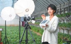 不得混合通俗食物、特殊食物、药品；市